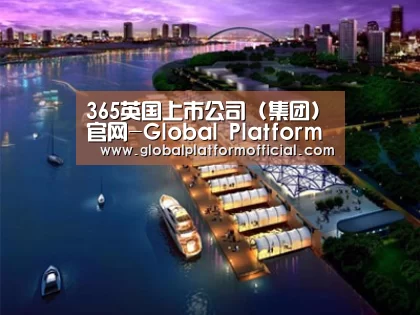 案例展示八