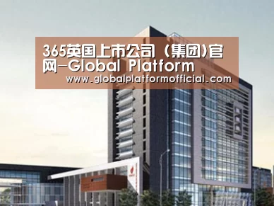 案例展示七